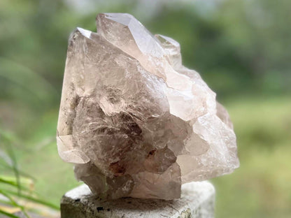 Smokey Citrine Lemurian Seed Quartz Standing Phantom Dolphin Cluster