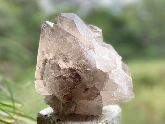 Smokey Citrine Lemurian Seed Quartz Standing Phantom Dolphin Cluster