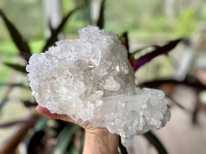 Lemurian Seed Quartz Cluster A+ Grade