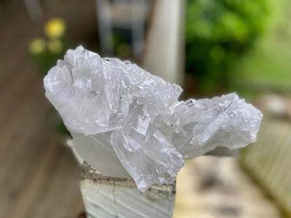 Lemurian Seed Quartz Cluster AAA+++ "Dove"