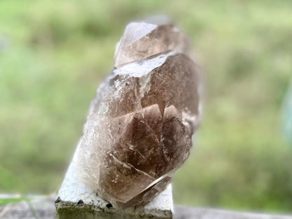 Smokey Citrine Lemurian Seed Quartz Standing Phantom Dolphin Cluster
