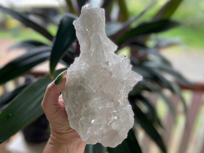 Lemurian Seed Quartz Cluster AAA+++ "Dove"