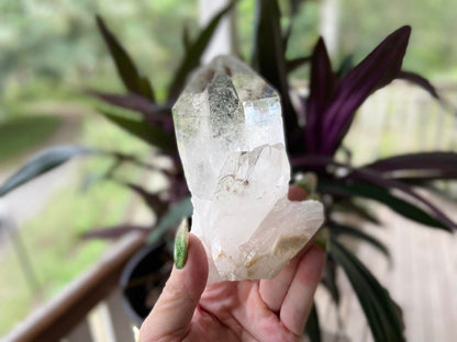 Lemurian Seed Ascending Cathedral Channeler A+ Grade