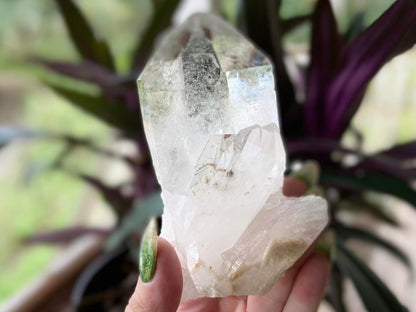 Lemurian Seed Ascending Cathedral Channeler A+ Grade