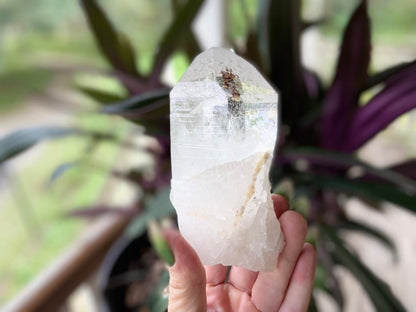 Lemurian Seed Ascending Cathedral Channeler A+ Grade