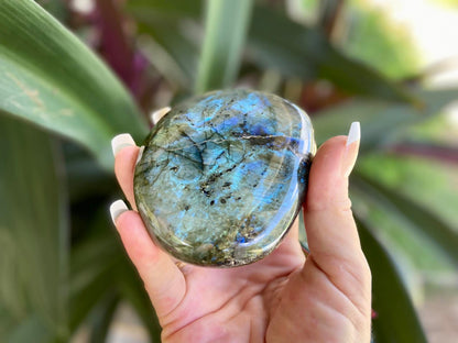 Spectacular Labradorite Palm Stone