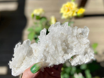 Lemurian Seed Mini Point Cluster AAA+ Grade