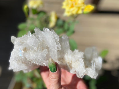 Lemurian Seed Mini Point Cluster AAA+ Grade