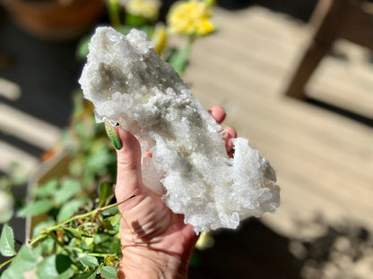Lemurian Seed Mini Point Cluster AAA+ Grade