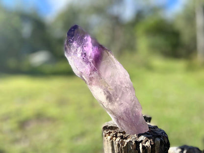Dragon Tooth Amethyst and Ametrine Quartz Phantom Natural Point
