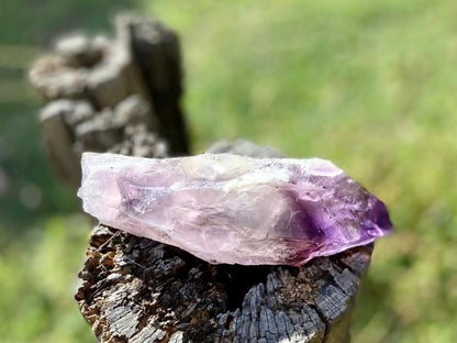 Dragon Tooth Amethyst and Ametrine Quartz Phantom Natural Point