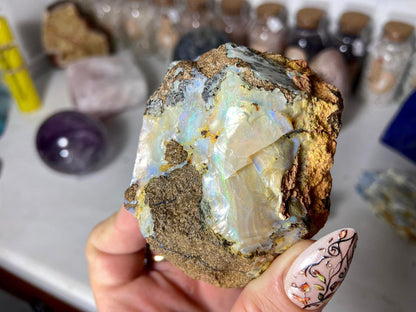 Gorgeous Painted Lady Australian Boulder Opal White