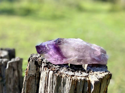 Dragon Tooth Amethyst and Ametrine Quartz Phantom Natural Point