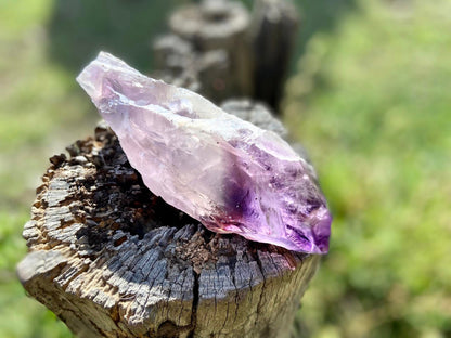 Dragon Tooth Amethyst and Ametrine Quartz Phantom Natural Point