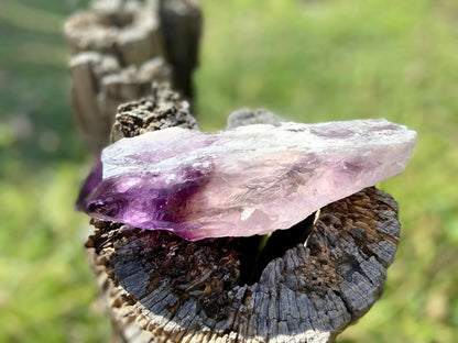 Dragon Tooth Amethyst and Ametrine Quartz Phantom Natural Point