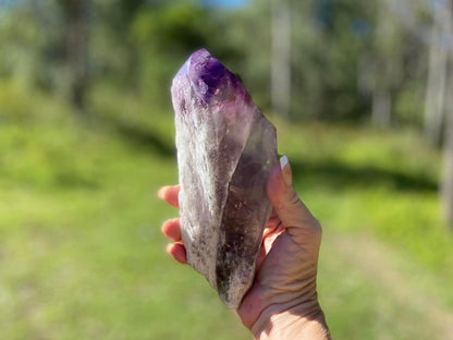 Dragon Tooth Amethyst with Smoky Quartz Phantom Natural Point