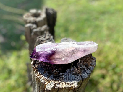 Dragon Tooth Amethyst and Ametrine Quartz Phantom Natural Point