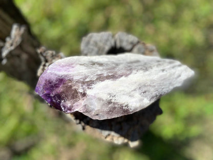 Dragon Tooth Amethyst with Smoky Quartz Phantom Natural Point