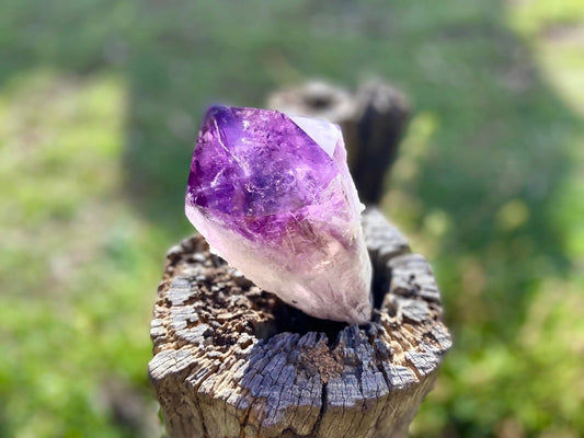 Dragon Tooth Amethyst and Ametrine Quartz Phantom Natural Point