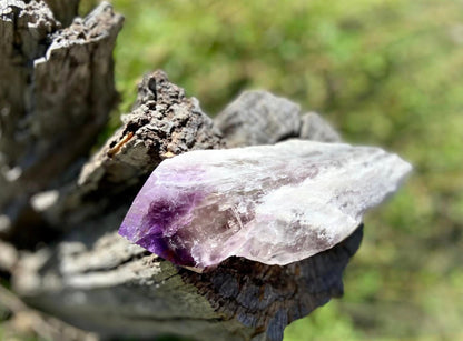 Dragon Tooth Amethyst with Smoky Quartz Phantom Natural Point