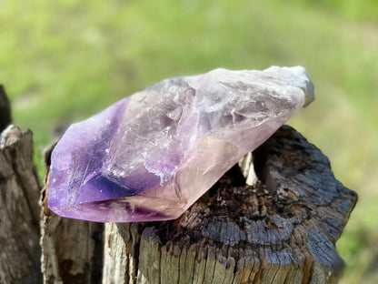 Dragon Tooth Amethyst with Smoky Quartz Phantom Natural Point