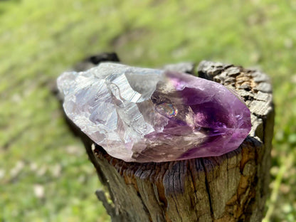 Dragon Tooth Amethyst with Smoky Quartz Phantom Natural Point