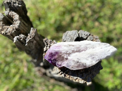 Dragon Tooth Amethyst with Smoky Quartz Phantom Natural Point