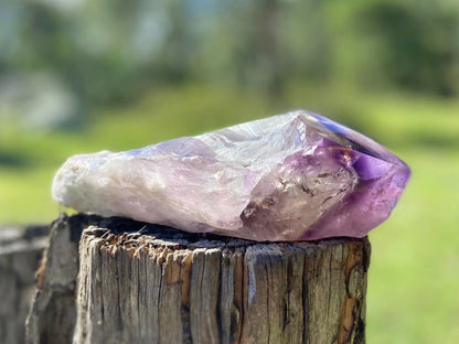 Dragon Tooth Amethyst with Smoky Quartz Phantom Natural Point
