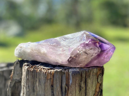 Dragon Tooth Amethyst with Smoky Quartz Phantom Natural Point