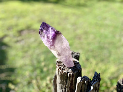 Dragon Tooth Amethyst and Ametrine Quartz Phantom Natural Point