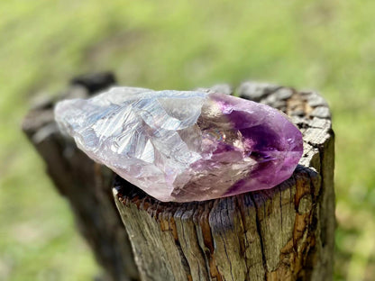 Dragon Tooth Amethyst with Smoky Quartz Phantom Natural Point