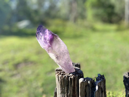 Dragon Tooth Amethyst and Ametrine Quartz Phantom Natural Point