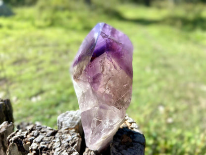Dragon Tooth Amethyst with Smoky Quartz Phantom Natural Point