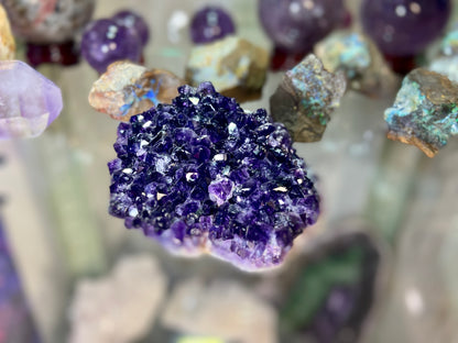 Amethyst Pineapple Cluster X Grade