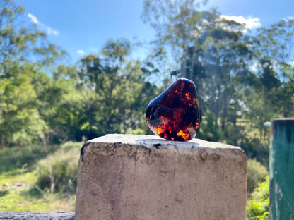 Rare Red Fire Baltic Amber with Ancient Organic Inclusions: Collector's Gem
