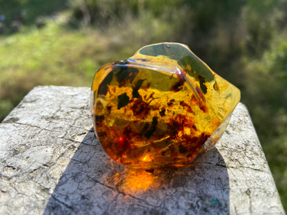 Polished Honey Amber (full of Bugs)