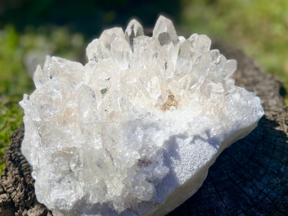 Lemurian Seed Quartz Cluster With A Smudge Of Golden Healer AAA+++