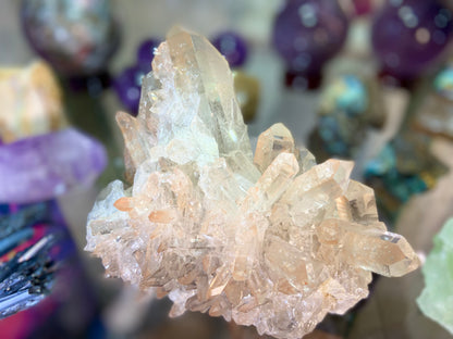 Golden Healer Lemurian Seed Cluster AAA+ Grade