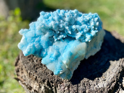 Blue Aragonite Cluster X Grade