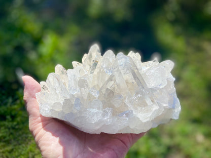 Lemurian Seed Quartz Cluster With A Smudge Of Golden Healer AAA+++