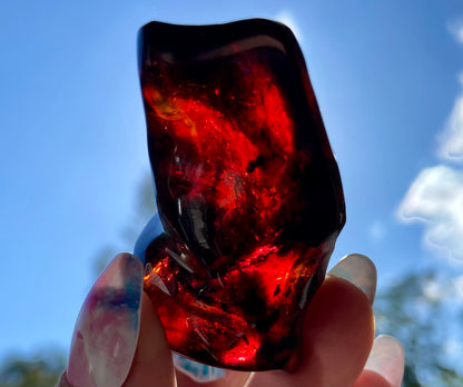 Rare Red Fire Baltic Amber: Ancient Inclusions, Collector's Gem