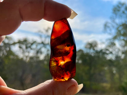 Rare Red Fire Amber: Baltic Sea Fossil with Organic Inclusions