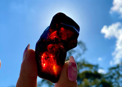 Rare Red Fire Baltic Amber: Ancient Inclusions, Collector's Gem