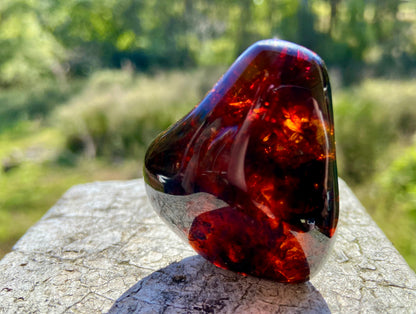 Rare Red Fire Baltic Amber with Ancient Organic Inclusions: Collector's Gem