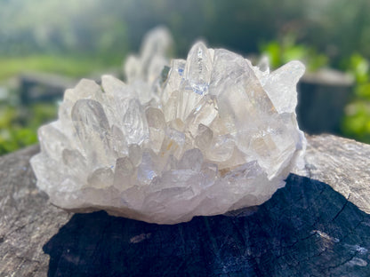 Lemurian Seed Quartz Cluster With A Smudge Of Golden Healer AAA+++