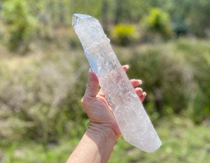 Lemurian Seed Quartz Crystal | Ancient Wisdom | Record Keepers |Phantasmagoric Rainbow | 1.313 kg