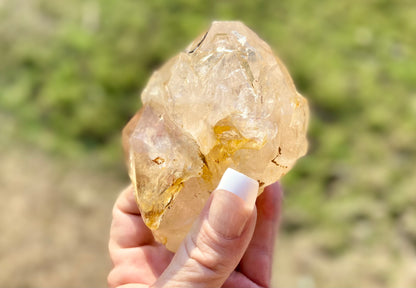 Lemurian Golden Healer Fenster Quartz with Enhydro | Self-Healed Elestial Tip • Pure Light • High Vibrational | 351 g