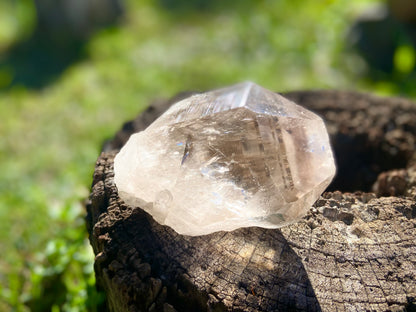 Smokey Citrine Pleiadian Starbrary | Lemurian Seed Quartz Point | Smoky Citrine | Manifestation & Inner Child Crystal | Brazil – 358g