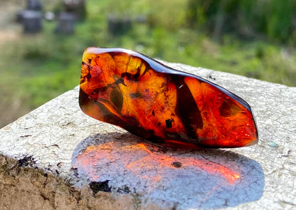 Rare Red Fire Amber: Baltic Sea Fossil with Organic Inclusions