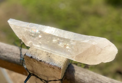 Lemurian Seed Quartz Crystal | Ancient Wisdom | Record Keepers |Phantasmagoric Rainbow | 1.313 kg